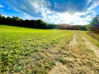 an aerial view of a field with a dirt road in the background